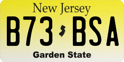 NJ license plate B73BSA