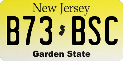 NJ license plate B73BSC