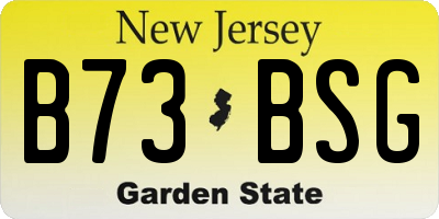 NJ license plate B73BSG
