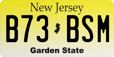 NJ license plate B73BSM