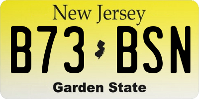 NJ license plate B73BSN
