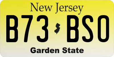 NJ license plate B73BSO