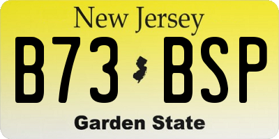 NJ license plate B73BSP