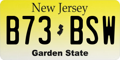 NJ license plate B73BSW