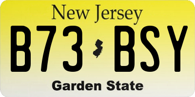 NJ license plate B73BSY