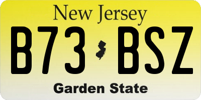 NJ license plate B73BSZ