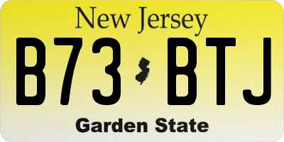 NJ license plate B73BTJ