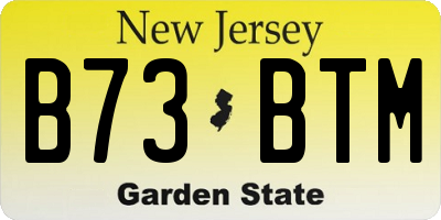 NJ license plate B73BTM