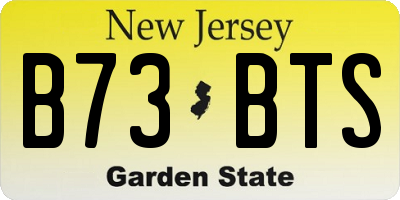 NJ license plate B73BTS