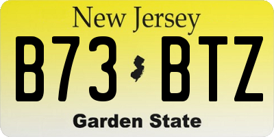 NJ license plate B73BTZ