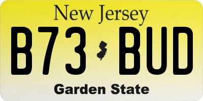 NJ license plate B73BUD