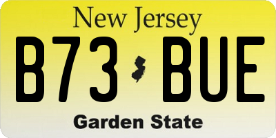 NJ license plate B73BUE