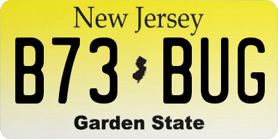 NJ license plate B73BUG