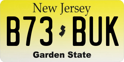 NJ license plate B73BUK