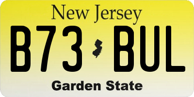 NJ license plate B73BUL