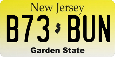 NJ license plate B73BUN