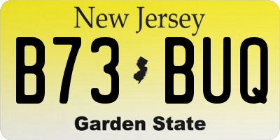 NJ license plate B73BUQ