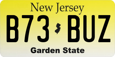 NJ license plate B73BUZ
