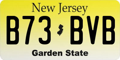 NJ license plate B73BVB