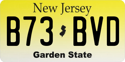 NJ license plate B73BVD