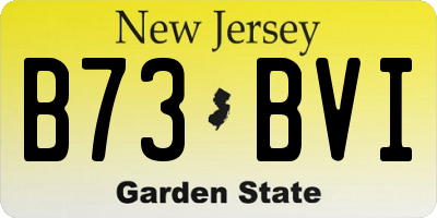 NJ license plate B73BVI