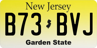 NJ license plate B73BVJ