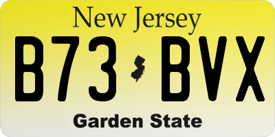 NJ license plate B73BVX