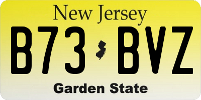 NJ license plate B73BVZ