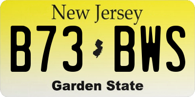 NJ license plate B73BWS