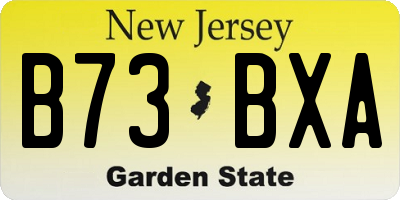 NJ license plate B73BXA