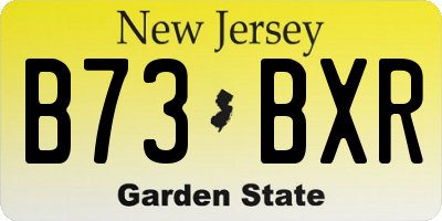NJ license plate B73BXR