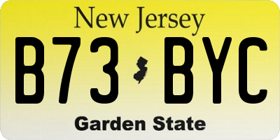 NJ license plate B73BYC