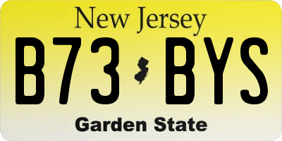 NJ license plate B73BYS