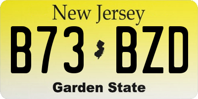 NJ license plate B73BZD
