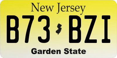 NJ license plate B73BZI