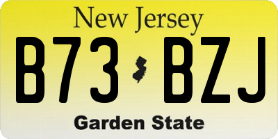 NJ license plate B73BZJ