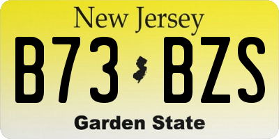 NJ license plate B73BZS