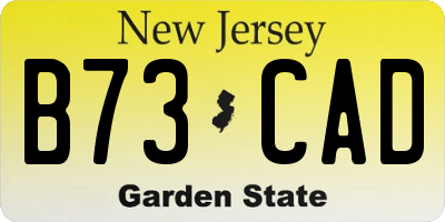 NJ license plate B73CAD