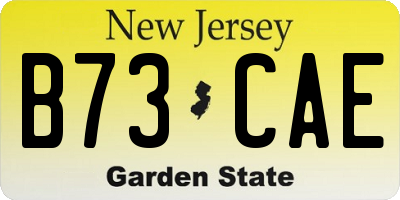 NJ license plate B73CAE