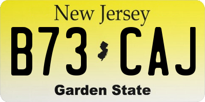 NJ license plate B73CAJ