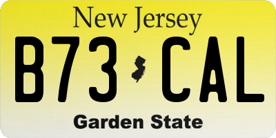 NJ license plate B73CAL