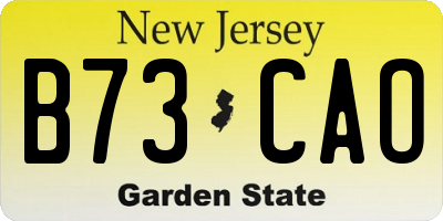 NJ license plate B73CAO