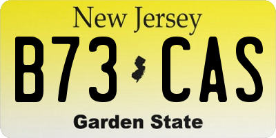 NJ license plate B73CAS