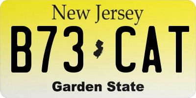 NJ license plate B73CAT