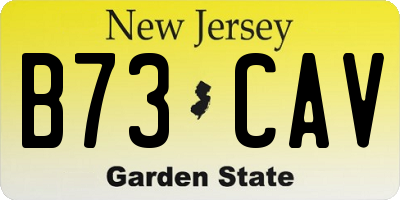 NJ license plate B73CAV