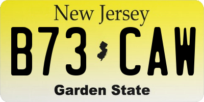 NJ license plate B73CAW
