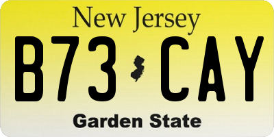NJ license plate B73CAY