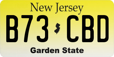NJ license plate B73CBD