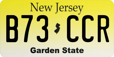 NJ license plate B73CCR