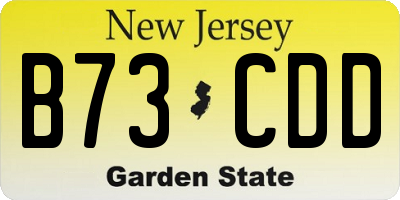 NJ license plate B73CDD